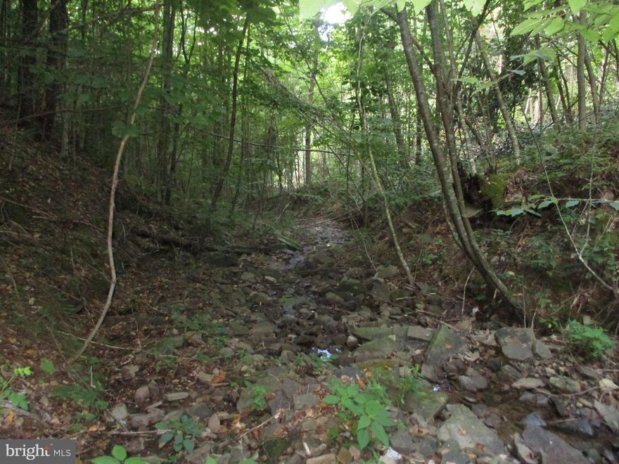 205 acres more or less of emerging forest. South fork of Wolf Creek flows the entire length of the property. Remote location with easy public,  gravel , road access. Great recreational or hunting property. Deer, Bear & turkey sighted on the property. Also access from Oscar Lipscomb Rd. Surface only