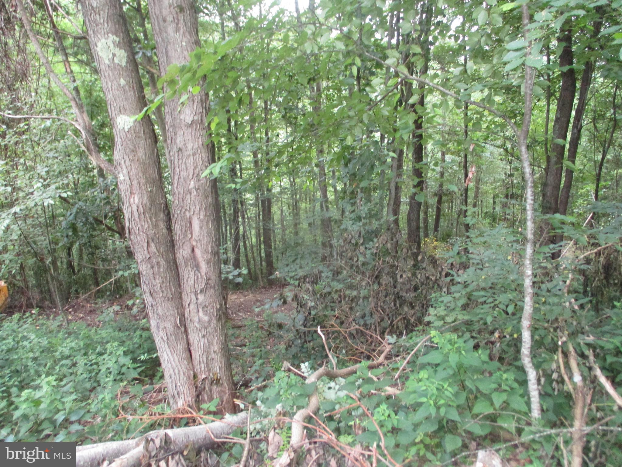 1000 aprox. SNAKE RD