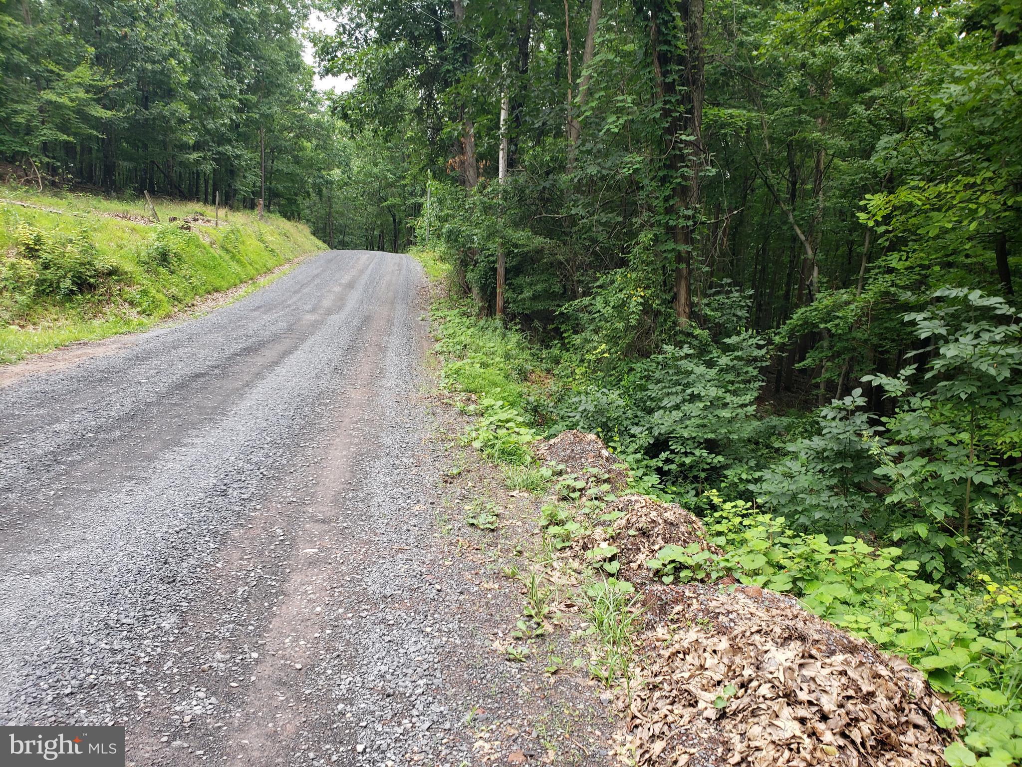 POTOMAC WOODS - Land