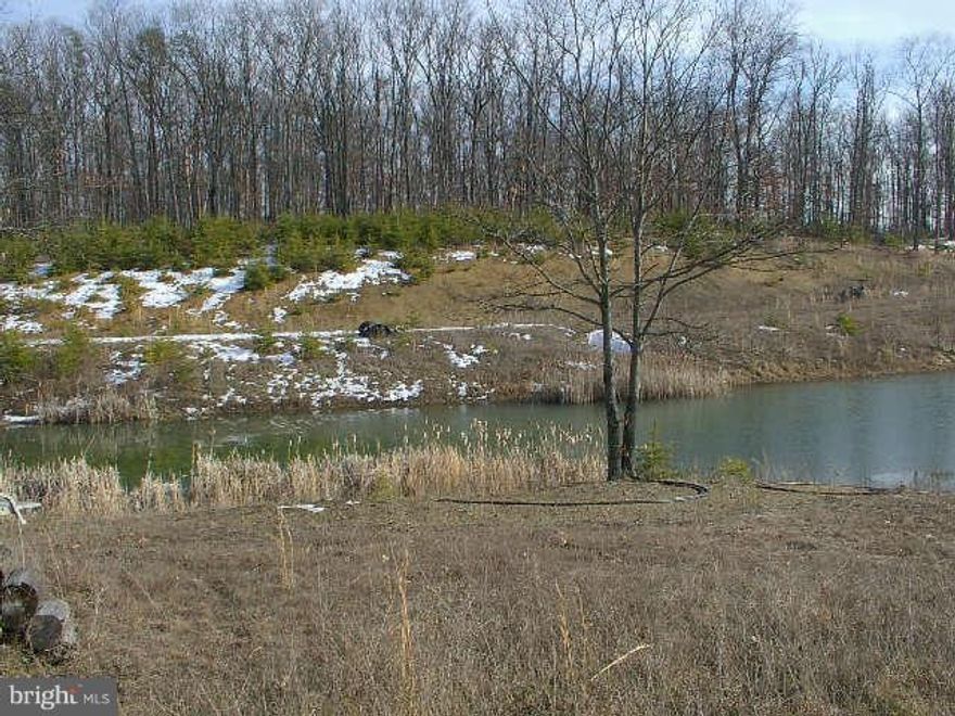 Mostly level, some gently rolling, mostly cleared with some back side woods.  Surveyed and approved for a 5 bedroom alternative septic system with perk certificate recorded.  Has rights to a community pond.  Less than 3 miles from Clear Brook (exit 321 off I 81).  Call or email  listing agent for covenants & plat plans and some deed restrictions. No HOA.