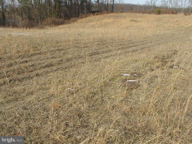 NONE AVAILABLE - Land