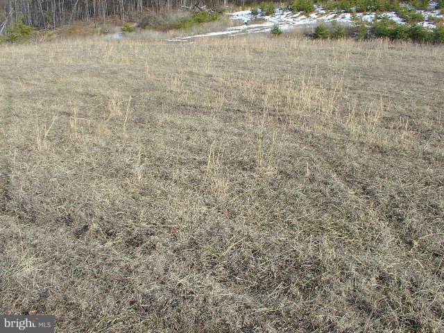 NONE AVAILABLE - Land