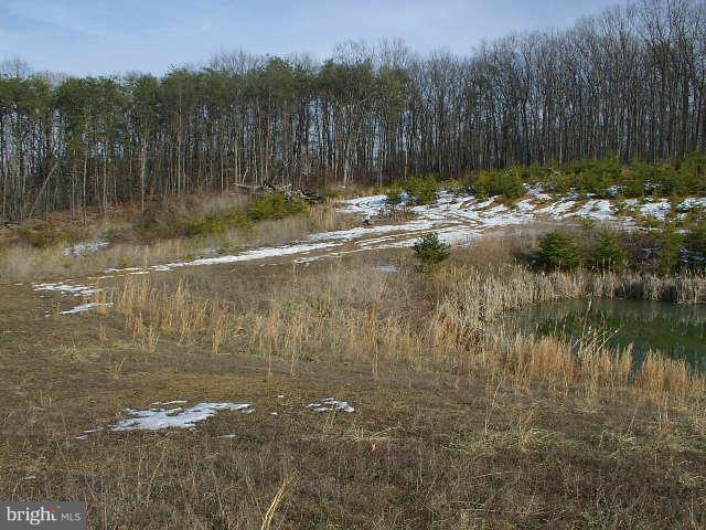 NONE AVAILABLE - Land