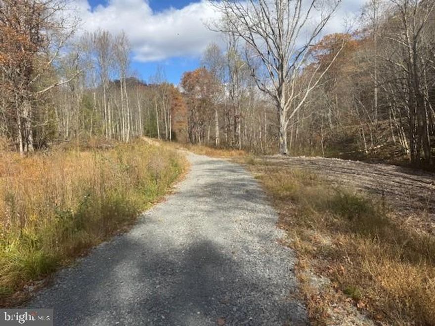 Welcome to an extraordinary opportunity to own 51 acres of private land nestled in the heart of historic Randolph County, West Virginia. This remarkable parcel is the perfect canvas for your dream home, recreational getaway, or an outdoor enthusiast’s paradise. Whether you envision a cozy cabin, a sprawling estate, or a serene retreat, the possibilities are endless! This property is a nature lover's dream. Imagine hunting in your own backyard, hiking along the myriad of trails, or simply savoring the tranquility that surrounds you. The diverse woodland is teeming with wildlife, providing excellent hunting opportunities and a chance to reconnect with nature. This area has a history of producing big WV bucks! Randolph County is renowned for its breathtaking landscapes, outdoor adventure opportunities, and rich cultural history. Whether you’re interested in hiking, fishing, hunting, skiing, or simply enjoying the peace and quiet of mountain life, this area has it all. The property is conveniently located within a short drive from Snowshoe Mtn Resort, Canaan Valley Resort, Stonewall Resort, Kumbrabow State Forest, and Elkins WV. For more information and to schedule a private viewing, please contact us today. Your dream property awaits!