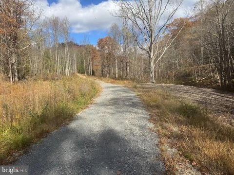 Vacant Land For Sale - TBD Adolph Road<br/> Randolph County, MILL CREEK, WV 26280