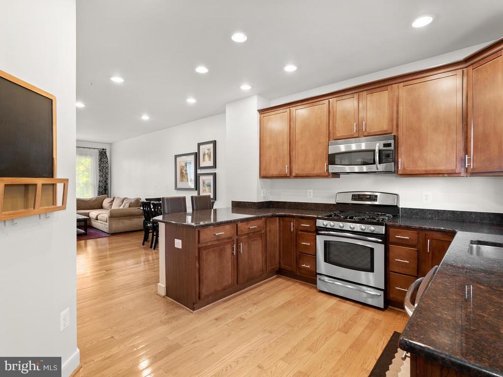 ARTS DISTRICT HYATTSVILLE - Residential