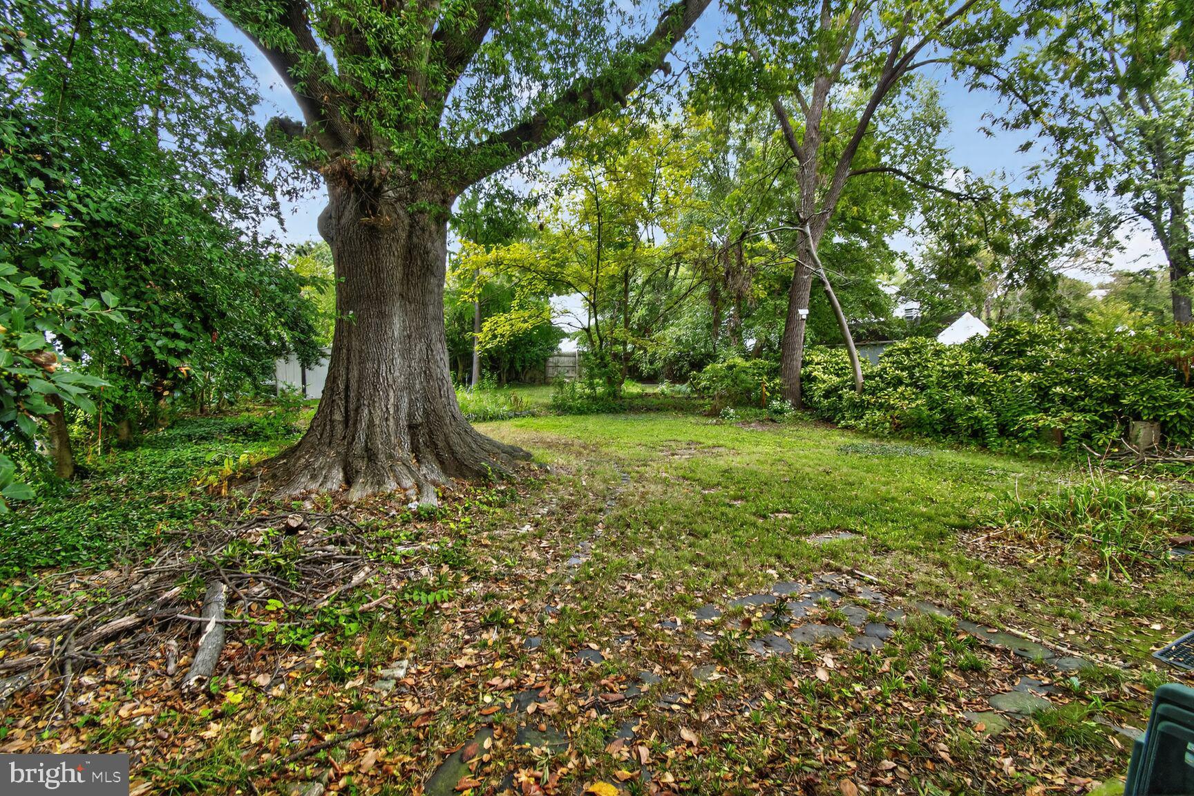 QUEENS CHAPEL MANOR - Residential