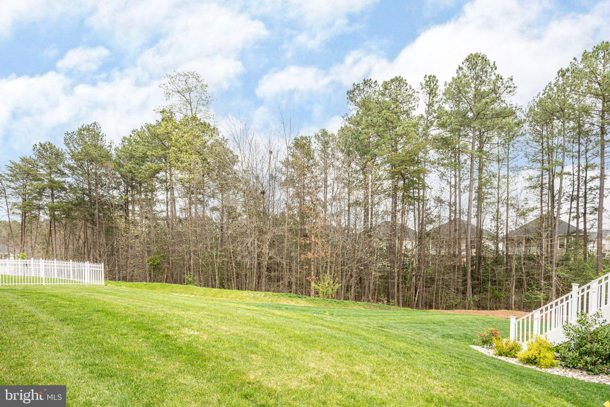 VIRGINIA HERITAGE AT LEE'S PARK - Residential