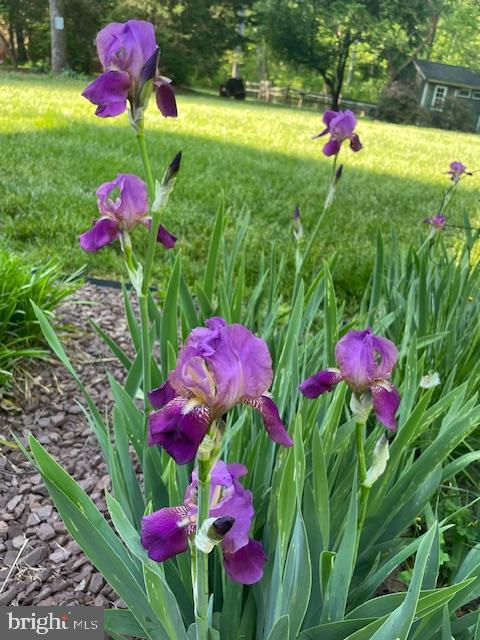 NOKESVILLE - Residential