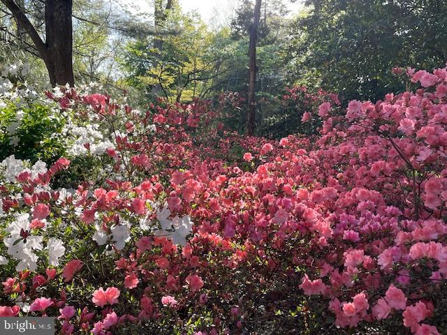 NOKESVILLE - Residential