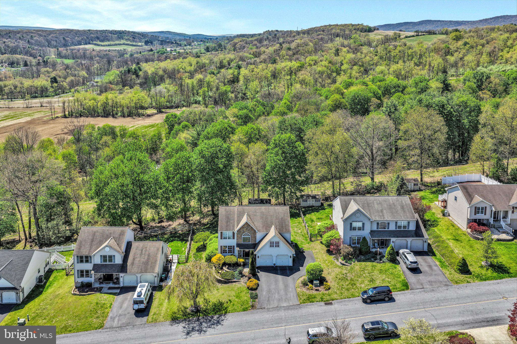 CHESTNUT HILL - Residential