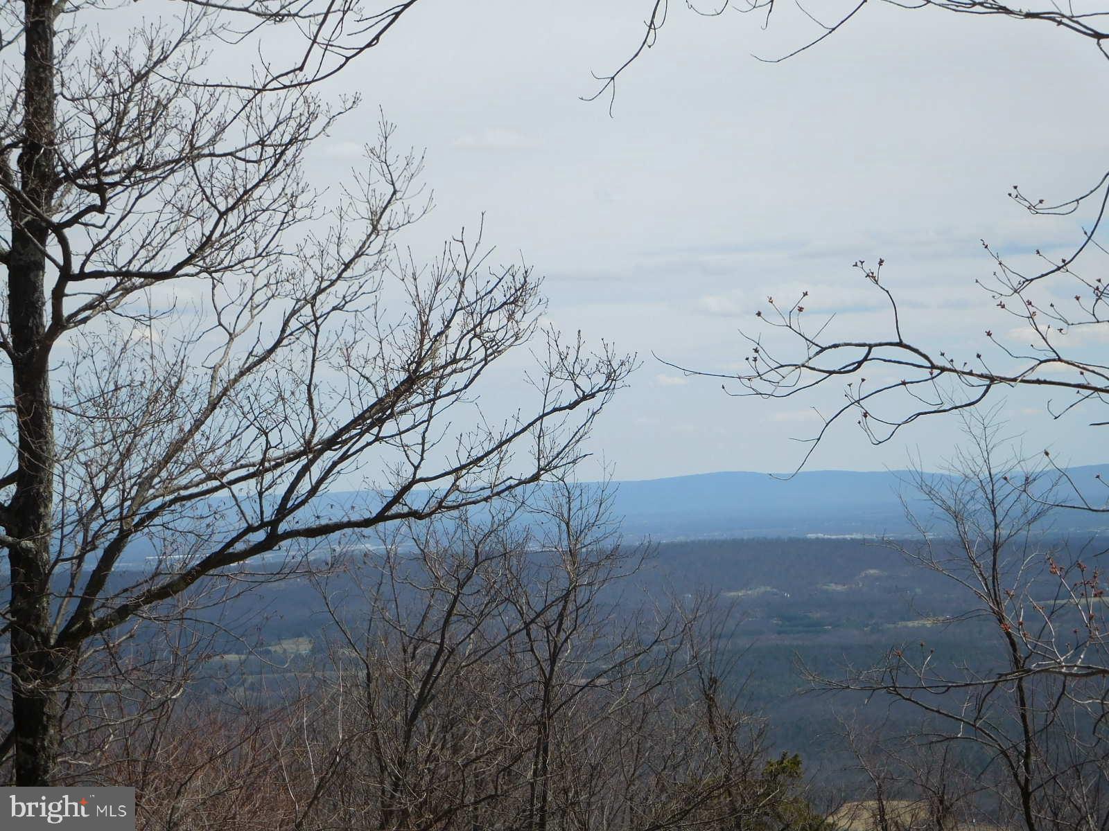 UNIQUE 60 ACRE WOODED TRACT within the Great North Mountain Wilderness Area enhanced by County maintained hard surfaced road access and available electricity. The Offering also includes a contiguous half acre building Lot (Shawneeland - Tax ID 49-A05-1-W-1) which is located adjacent to the main tracts access point at the intersection of Tomahawk and Jalapa. Potential forty plus mile views throughout for a top of the world feeling- far from the maddening crowds but still within twenty minutes of Winchester. Area is renowned for its proximity to excellent hunting, fishing and outdoor adventures including hiking the popular Tuscarora Trail.