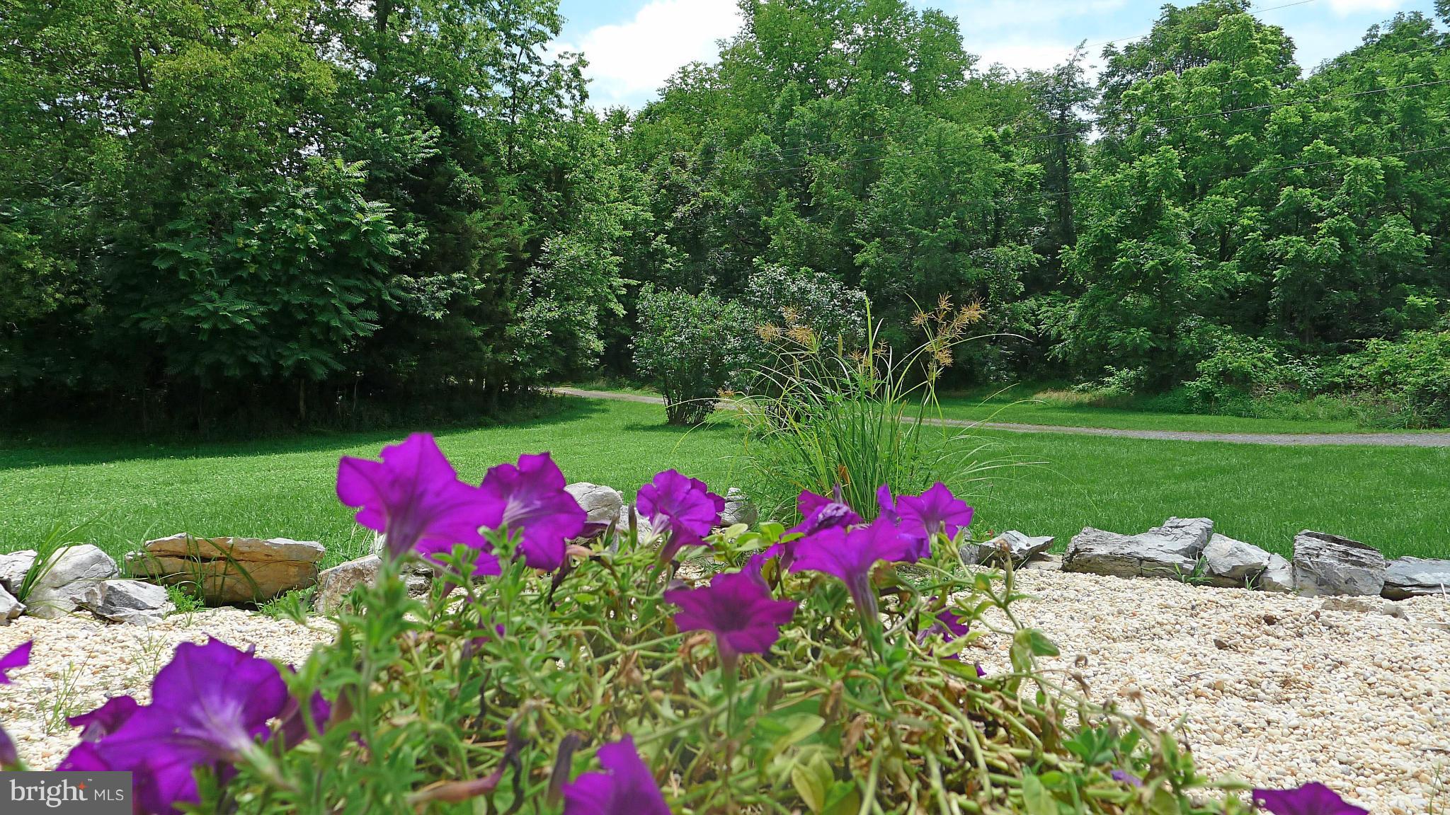 WHITE OAKS - Residential