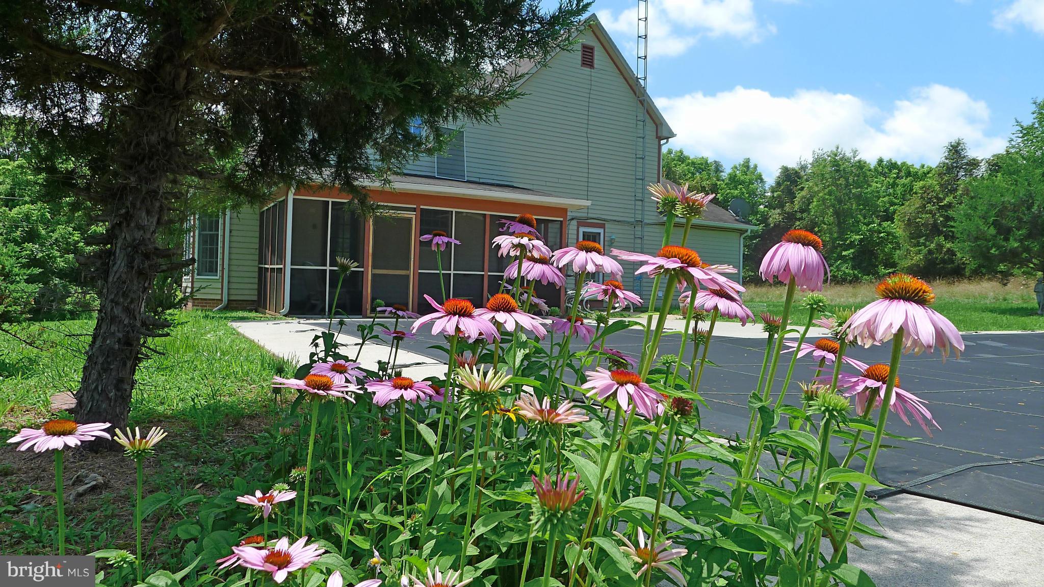 WHITE OAKS - Residential