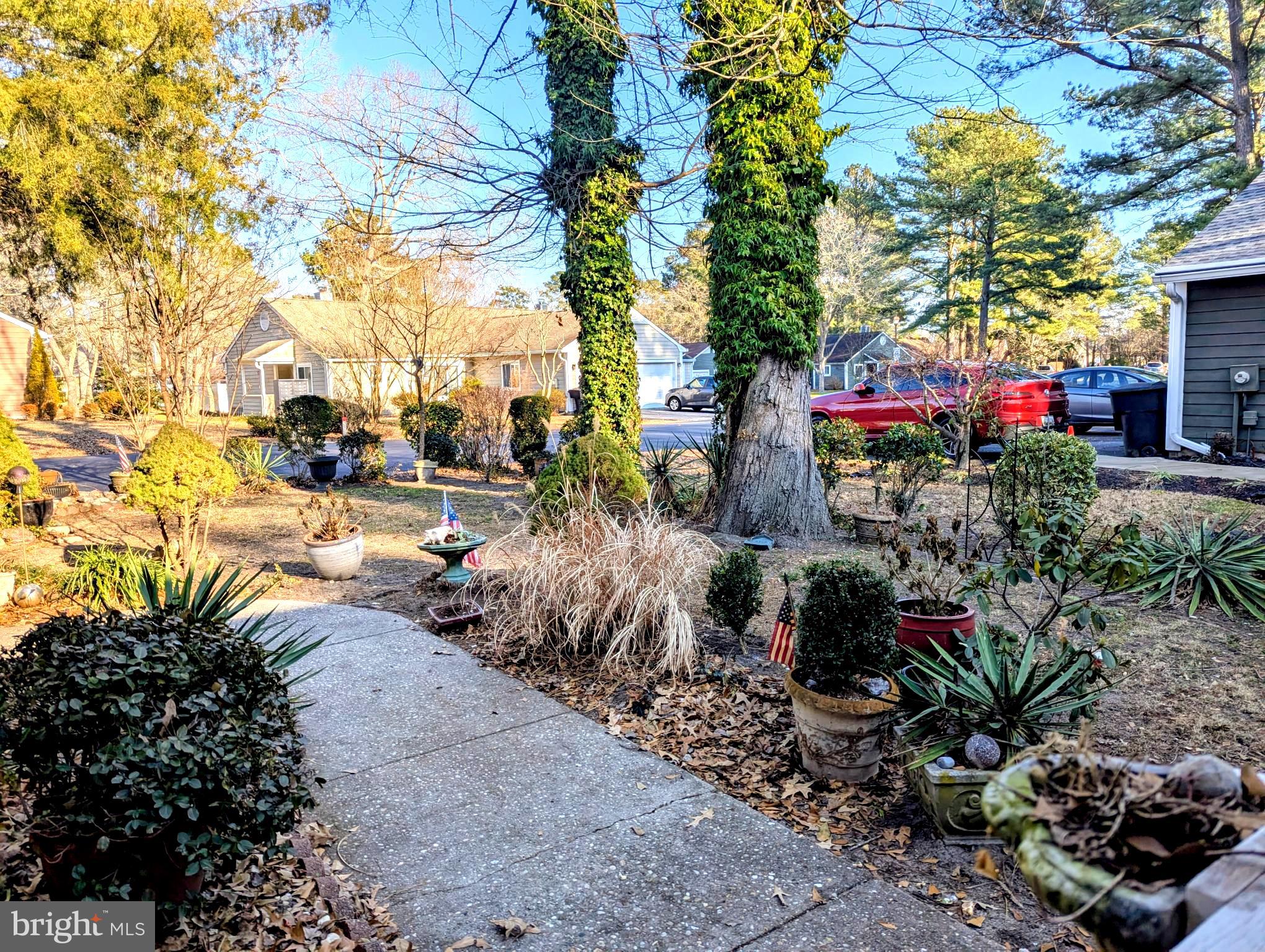 SPRING CHASE - Residential