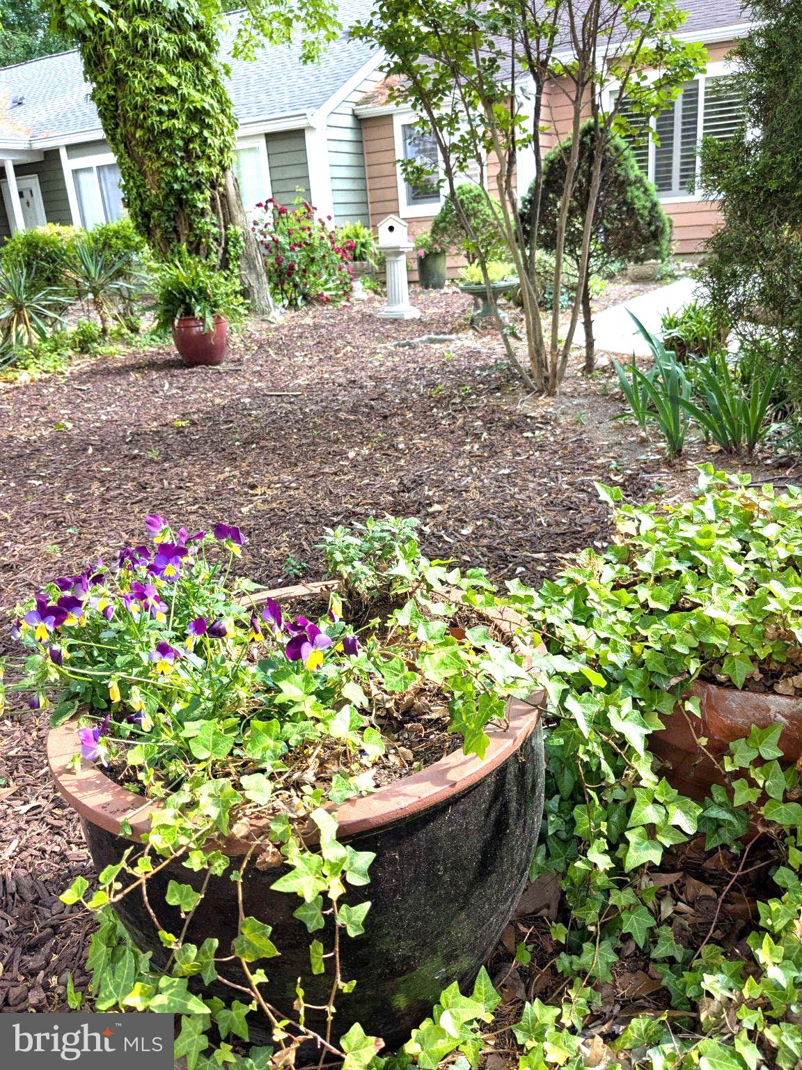 SPRING CHASE - Residential