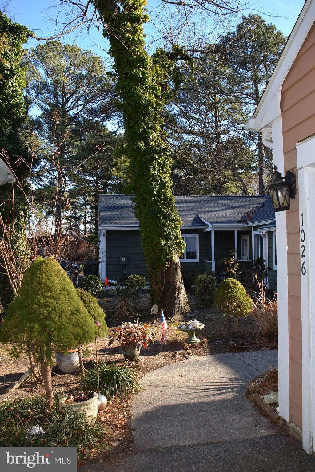 SPRING CHASE - Residential