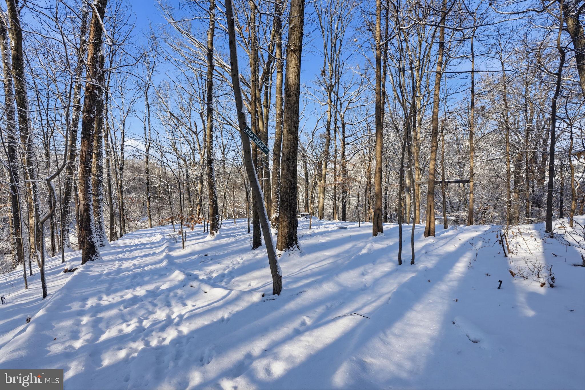 NESHAMINY POINTE - Residential