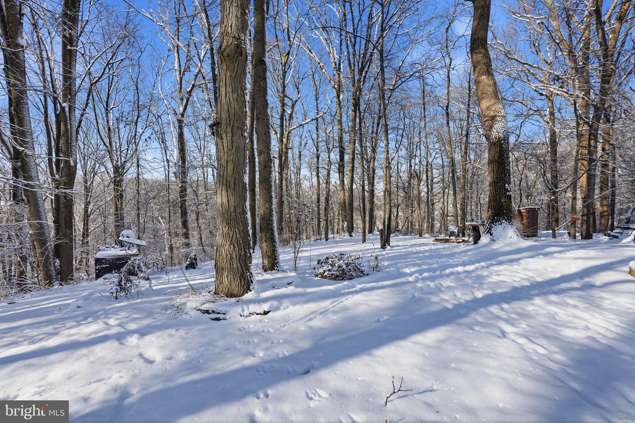 NESHAMINY POINTE - Residential