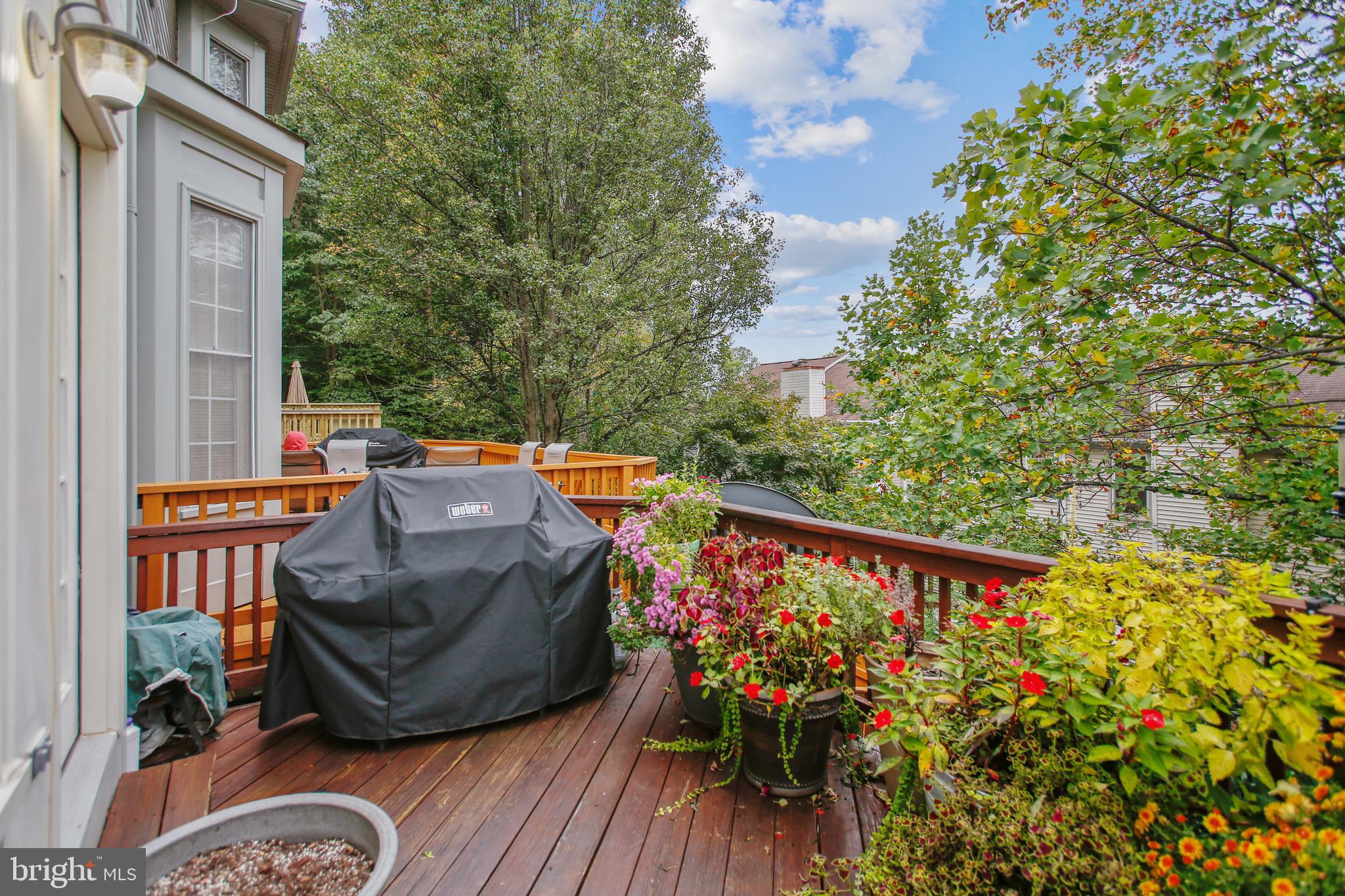 WEST SPRINGFIELD - Residential