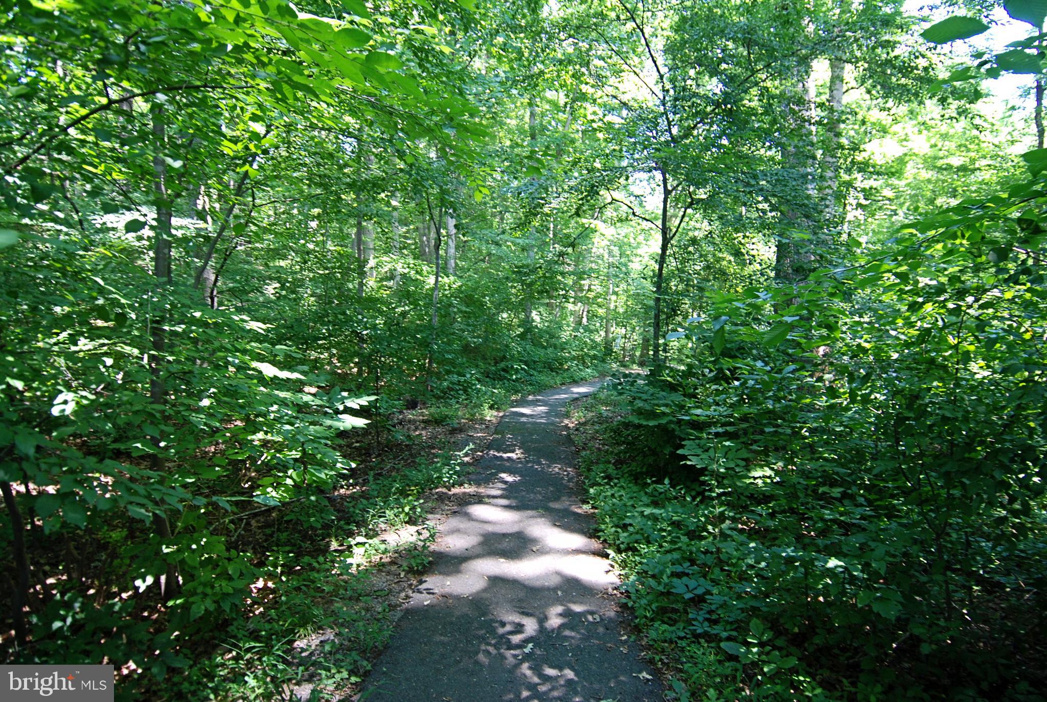 WEST SPRINGFIELD - Residential