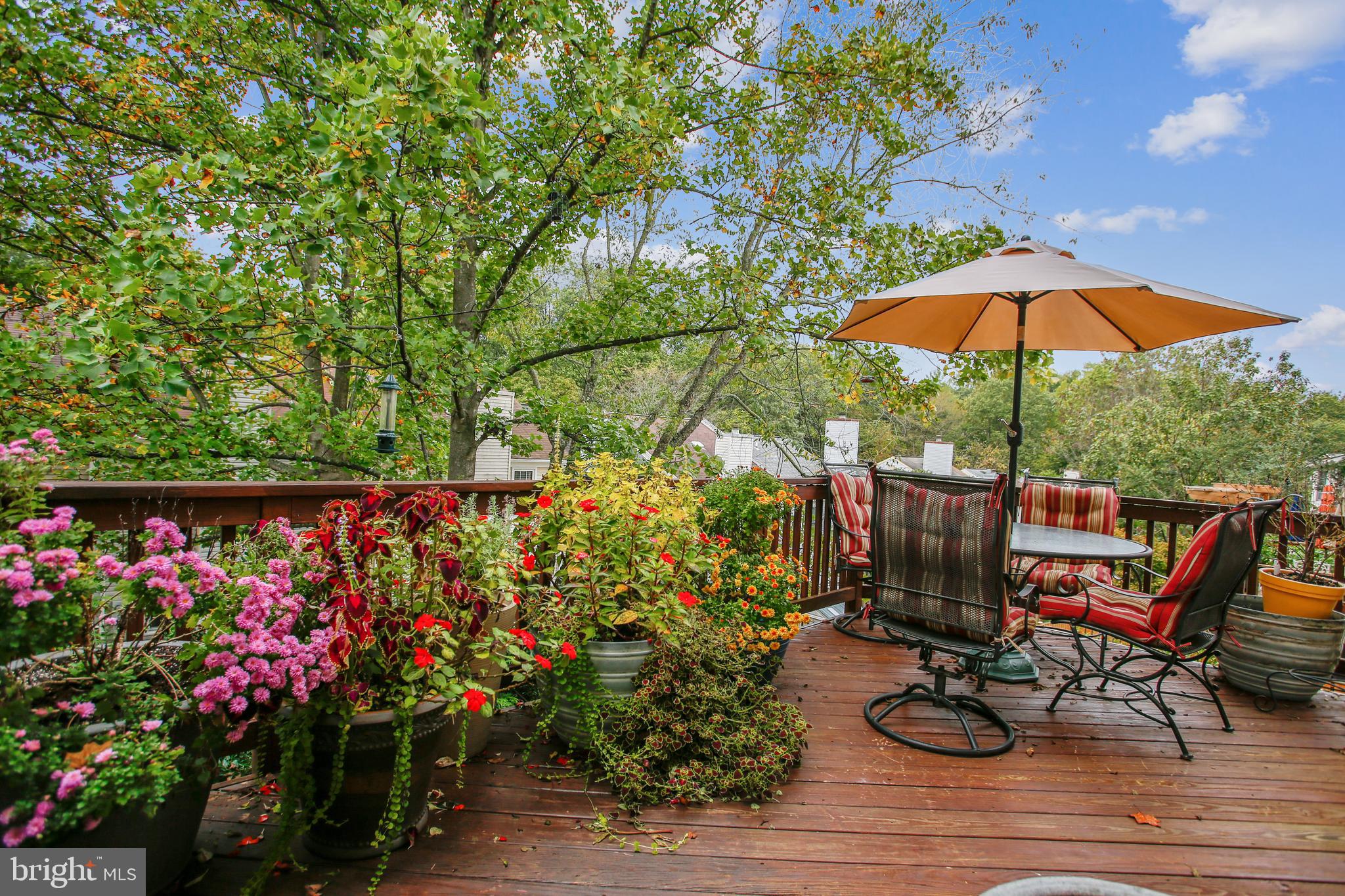 WEST SPRINGFIELD - Residential