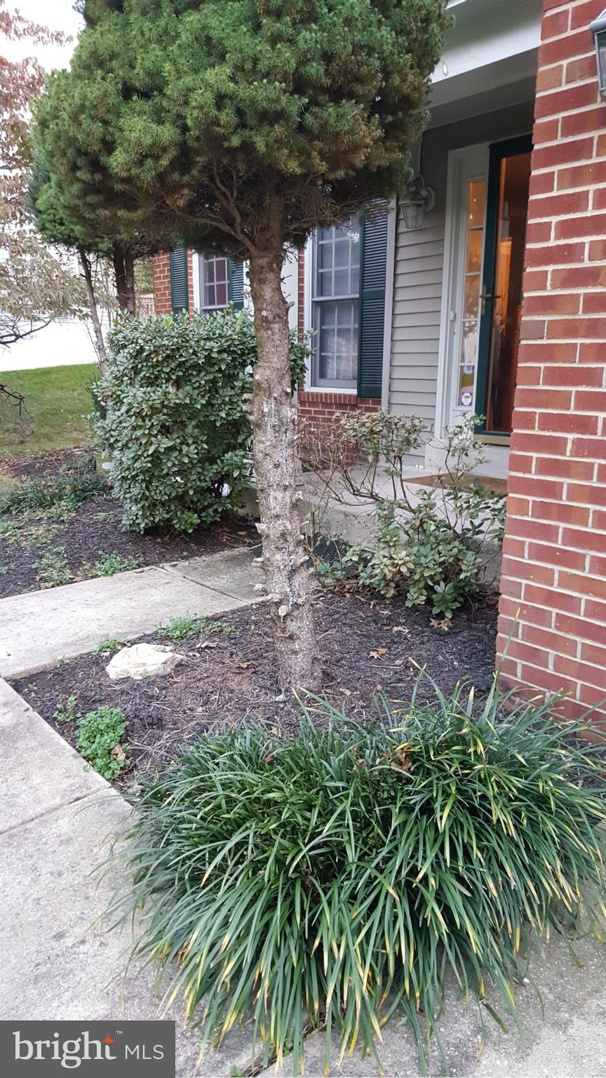 VISTA ESTATES EAST - Residential