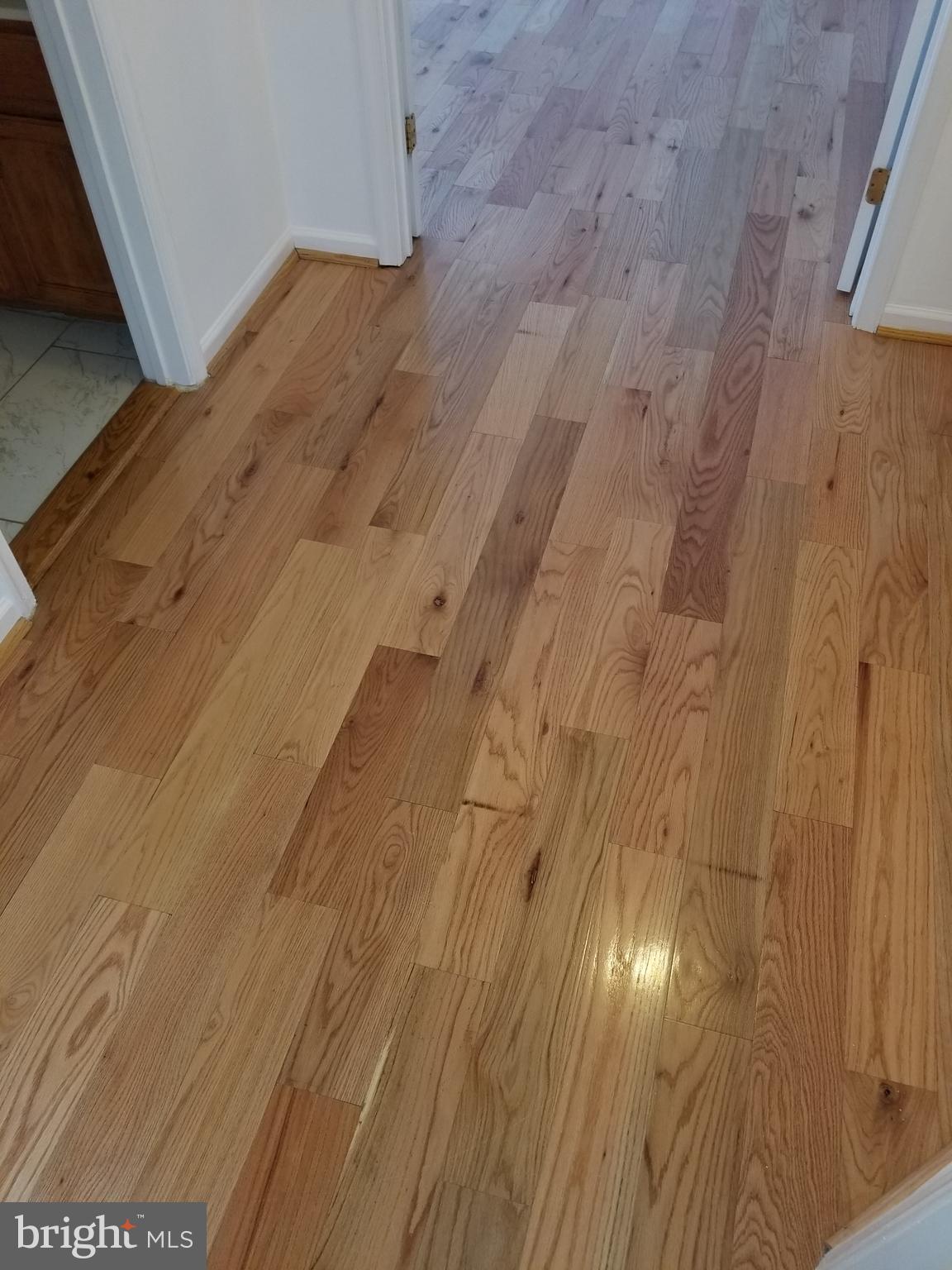 WATERS EDGE - Residential