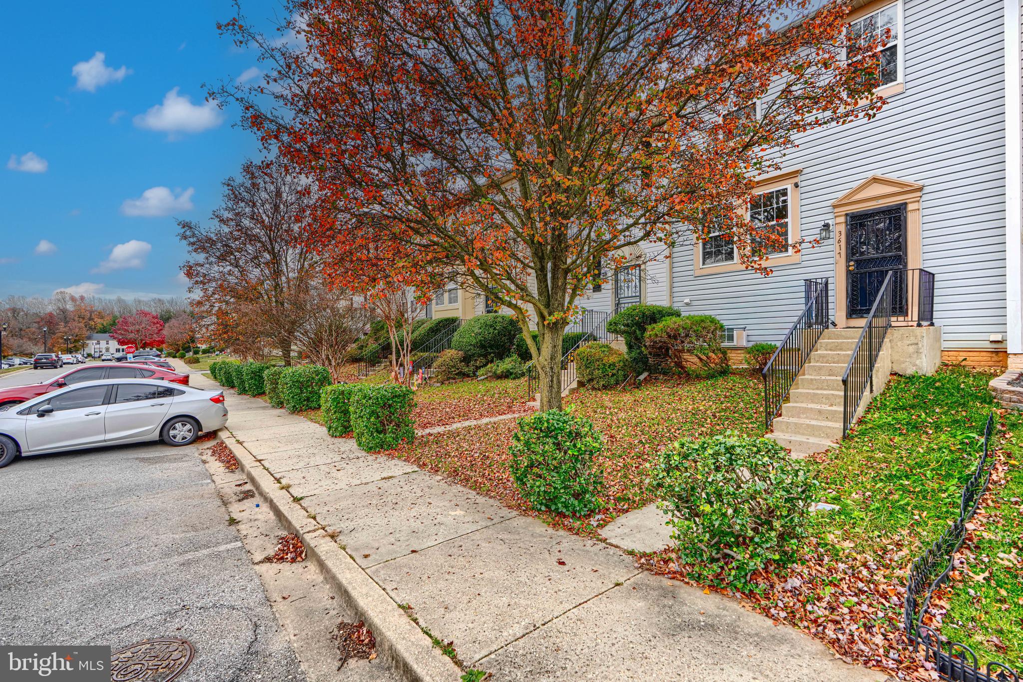 3617 APOTHECARY STREET STREET