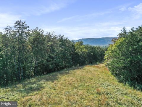 574 MOUNTAIN SLOPE LANE FORT VALLEY VA 22652