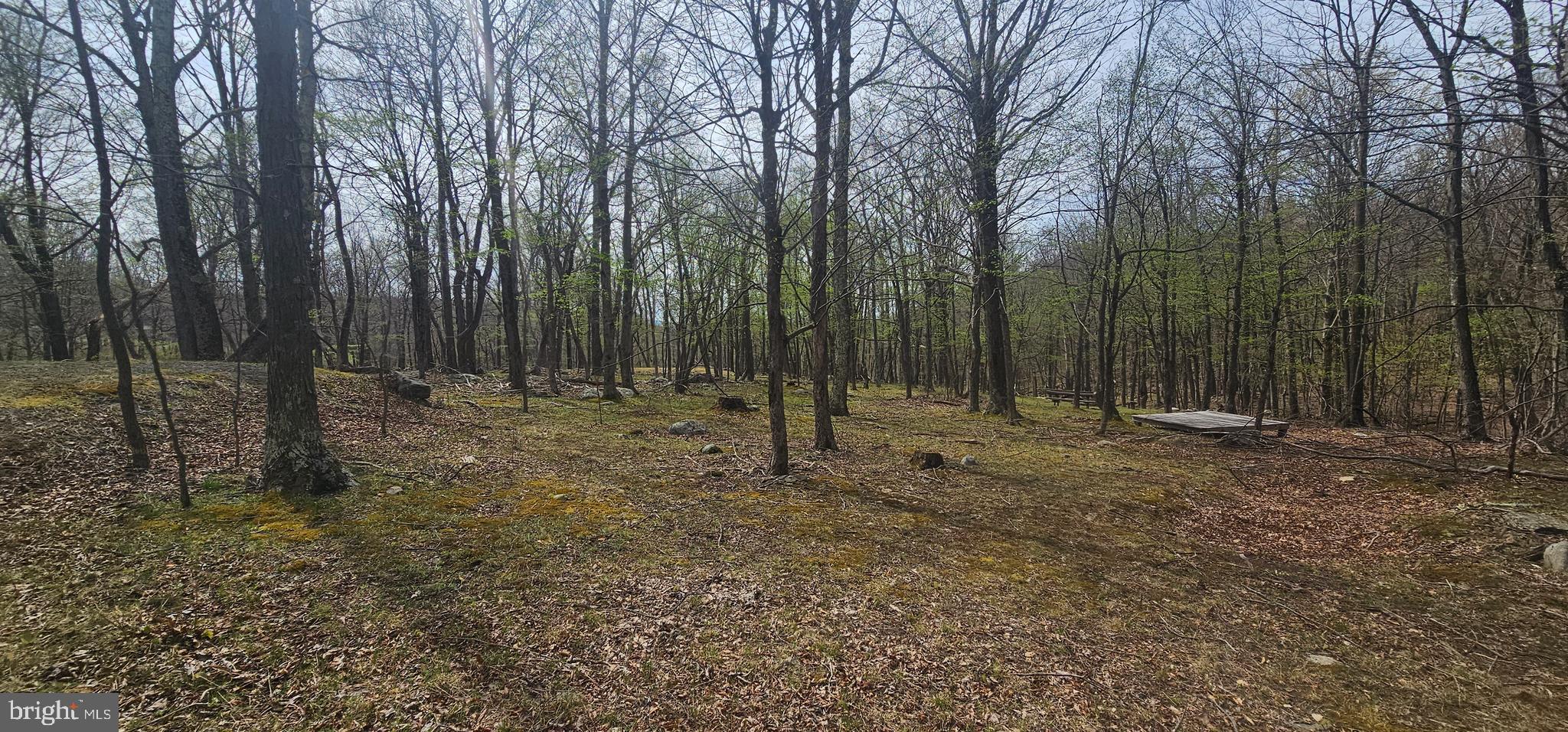 RETREAT AT DOLLY SODS - Land