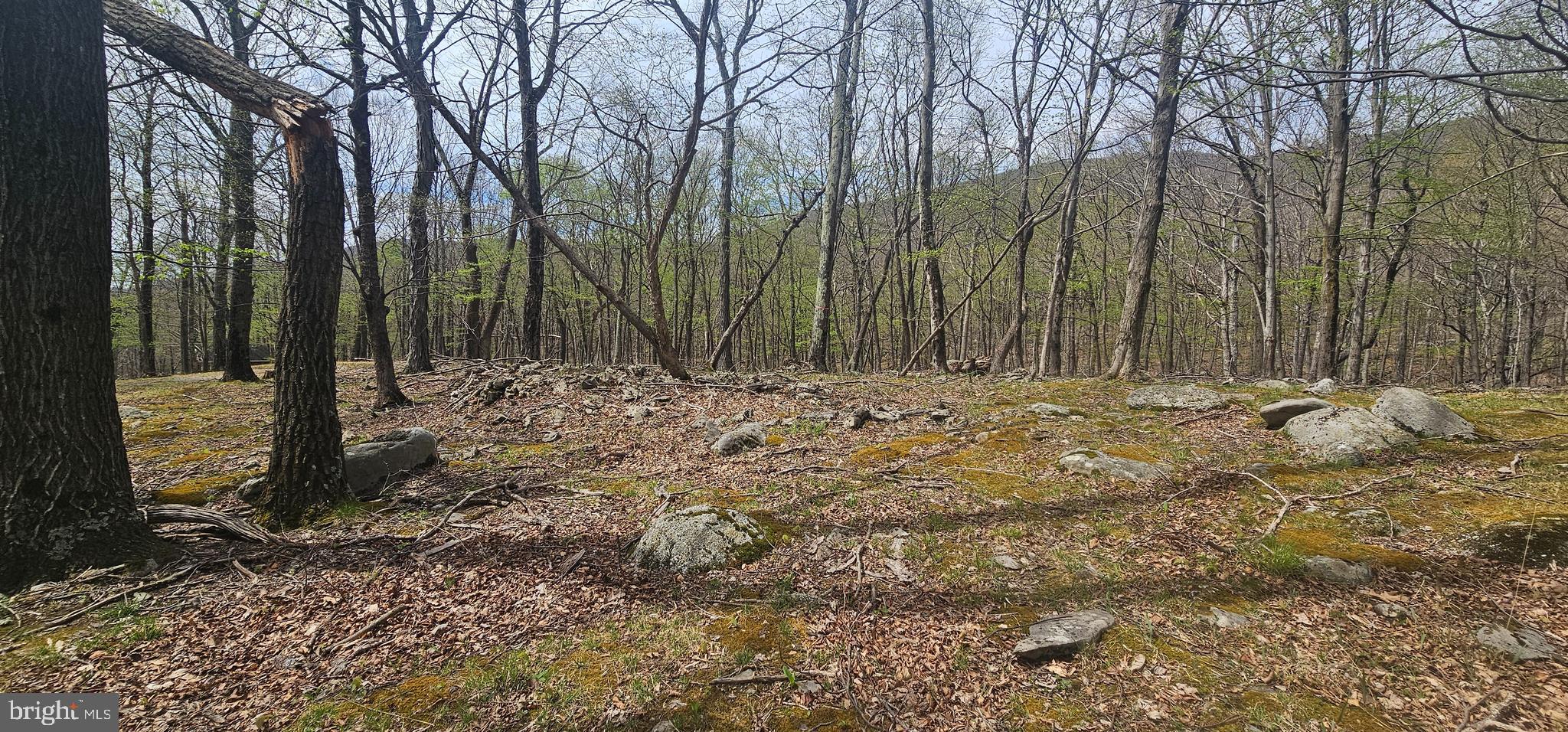 RETREAT AT DOLLY SODS - Land