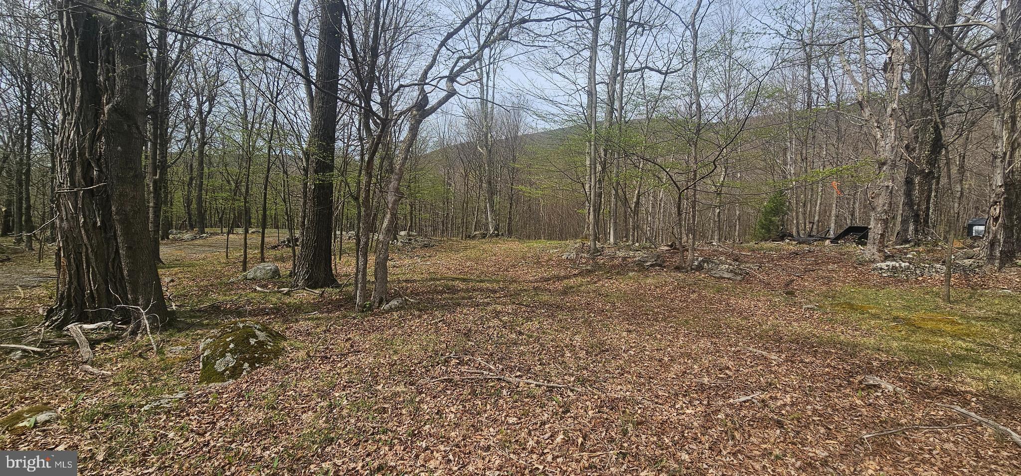 RETREAT AT DOLLY SODS - Land