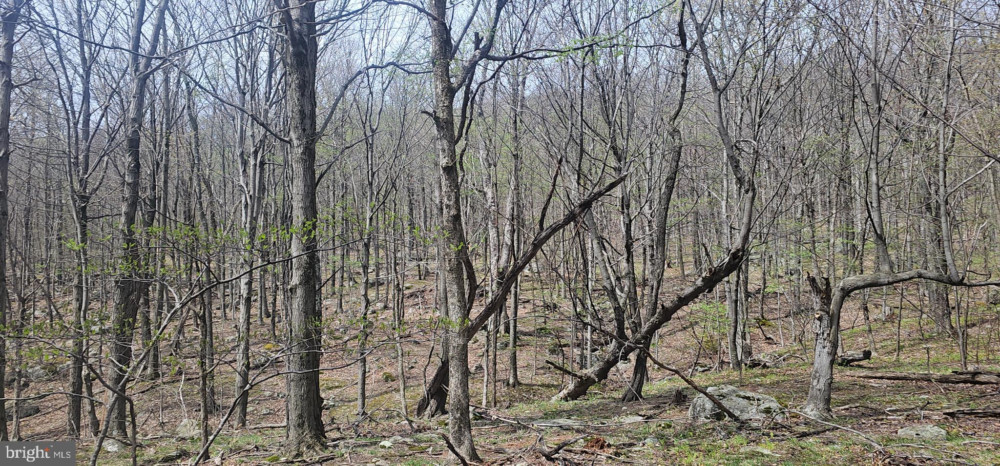 RETREAT AT DOLLY SODS - Land