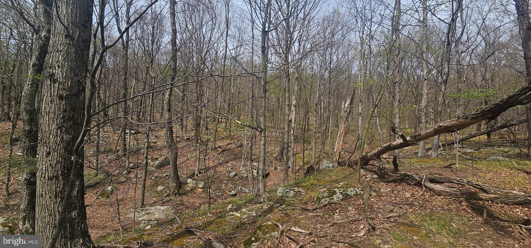 RETREAT AT DOLLY SODS - Land