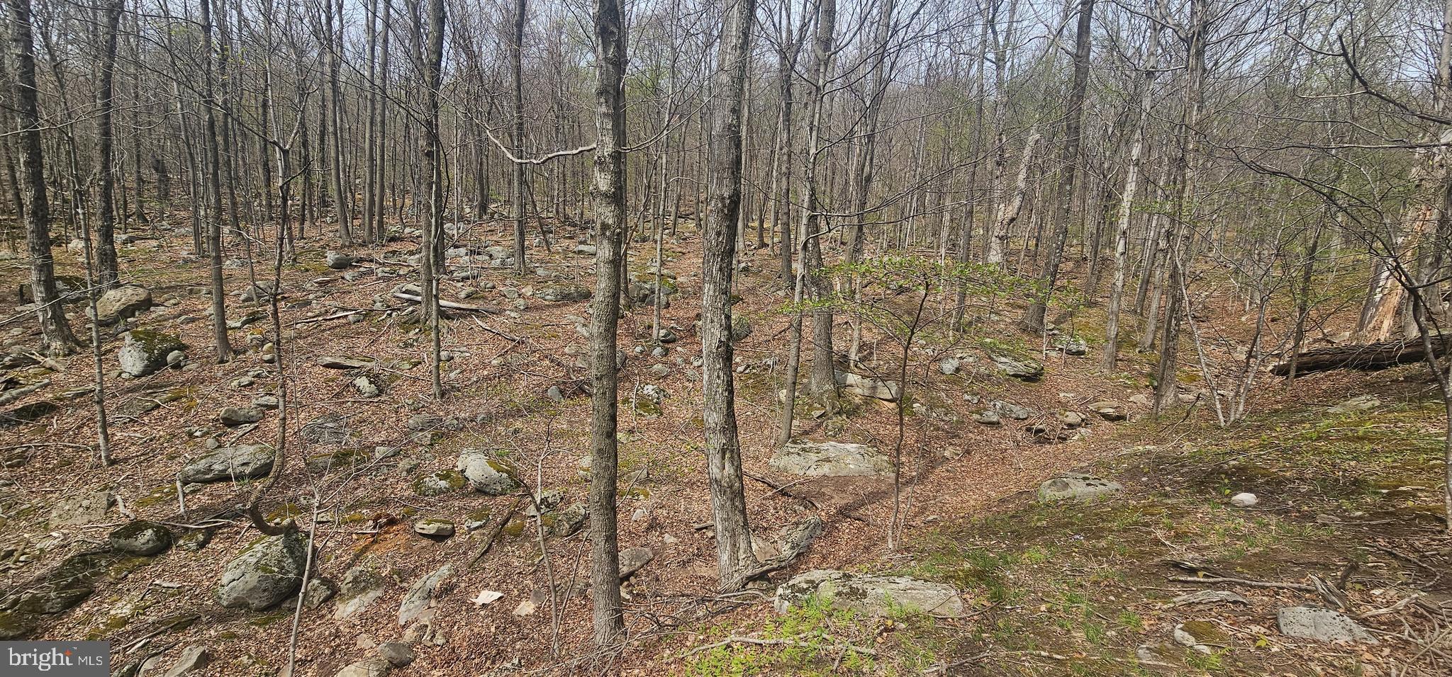 RETREAT AT DOLLY SODS - Land