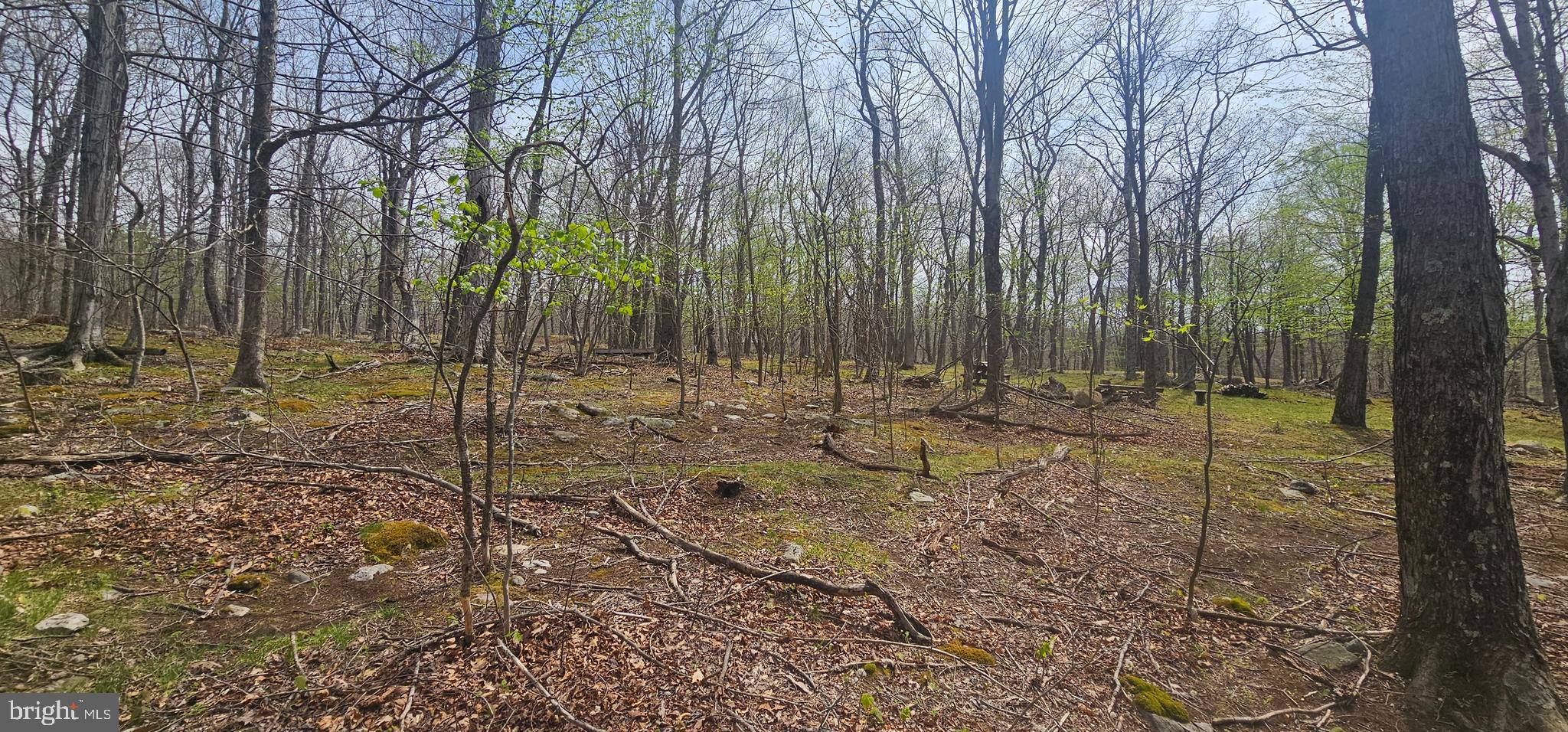 RETREAT AT DOLLY SODS - Land