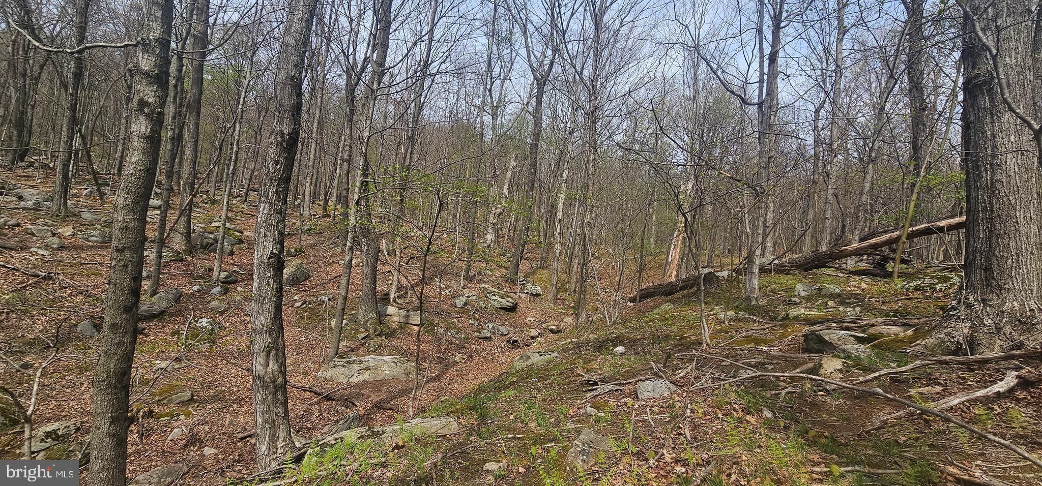 RETREAT AT DOLLY SODS - Land