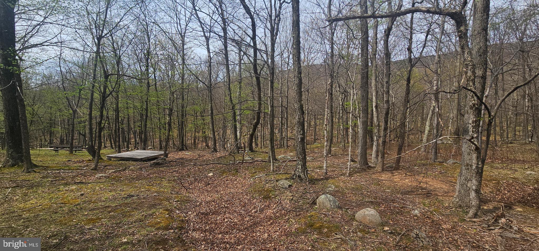 RETREAT AT DOLLY SODS - Land