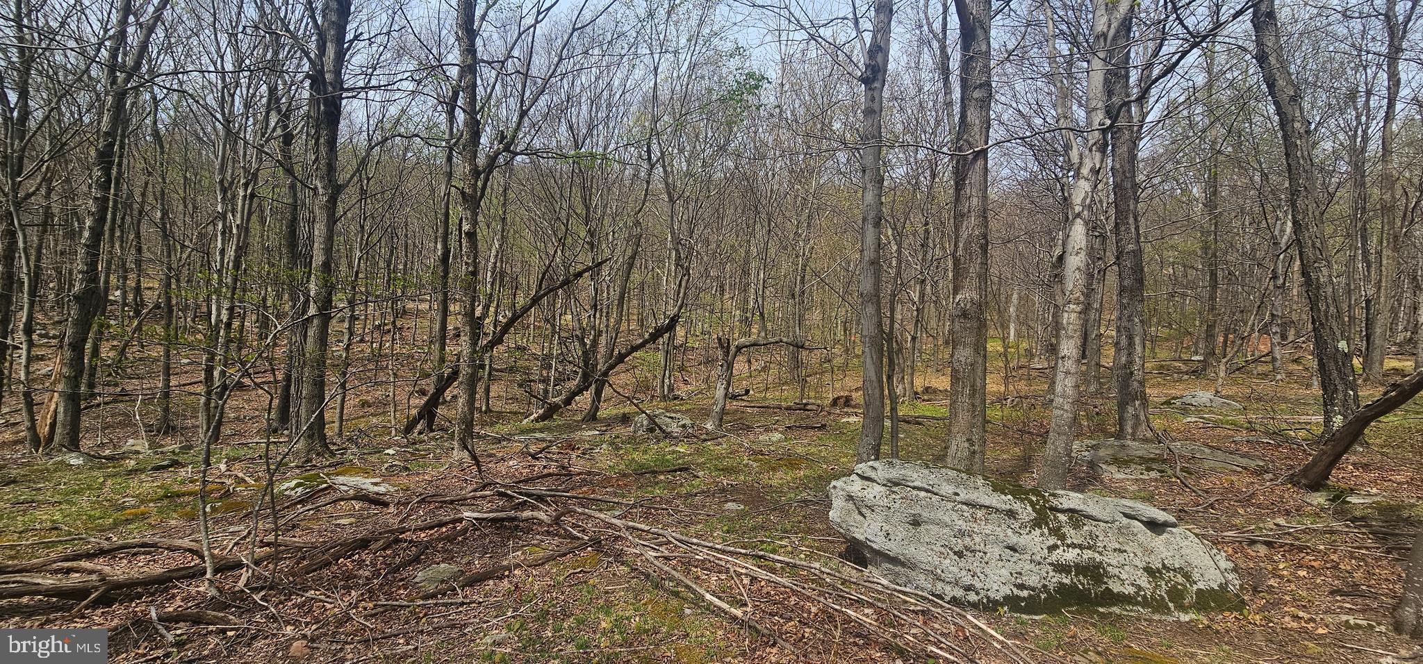 RETREAT AT DOLLY SODS - Land
