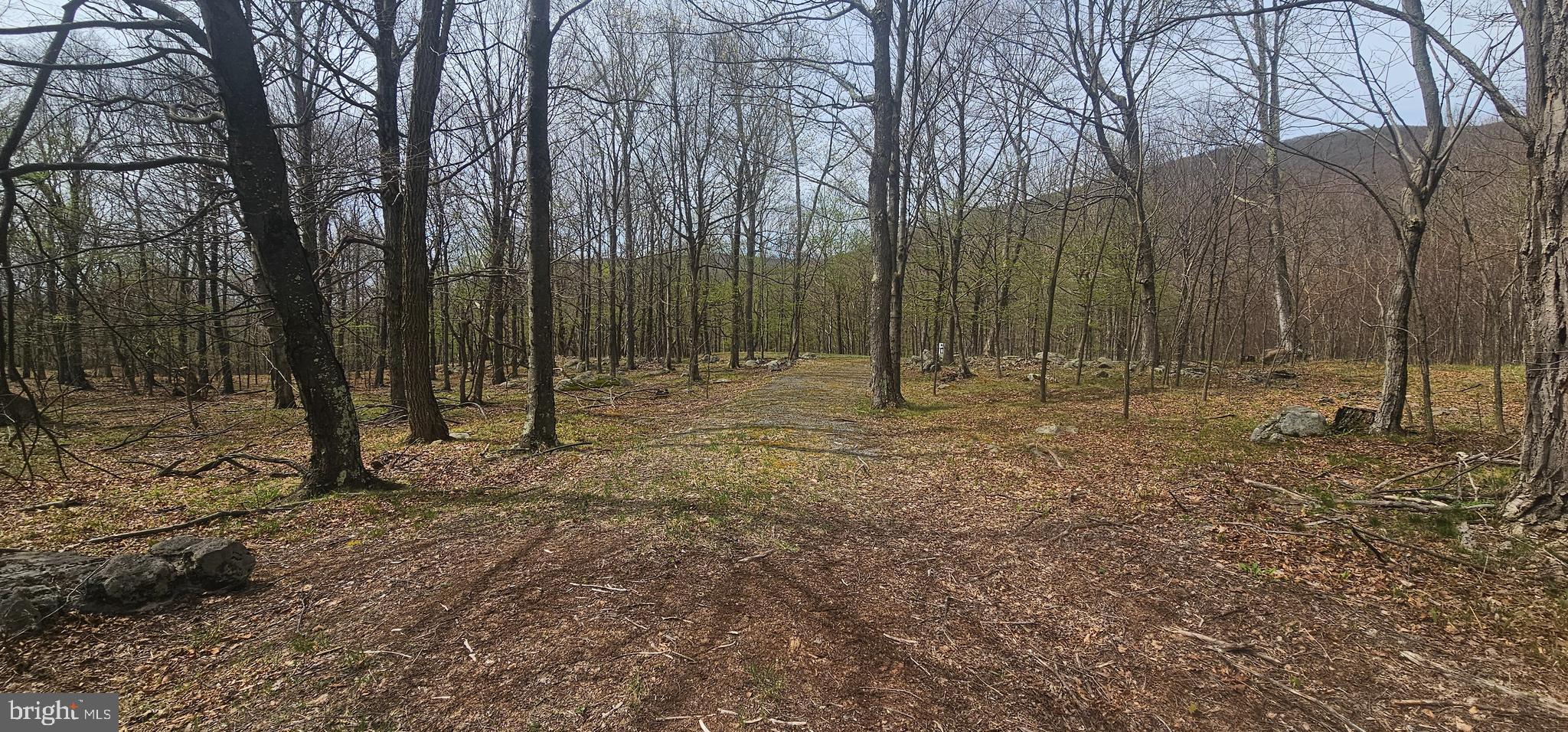 RETREAT AT DOLLY SODS - Land