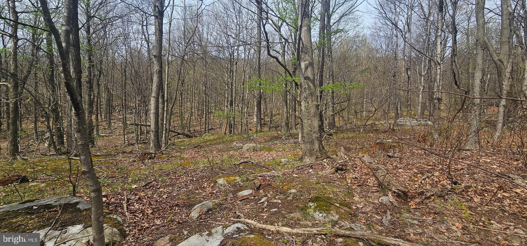 RETREAT AT DOLLY SODS - Land