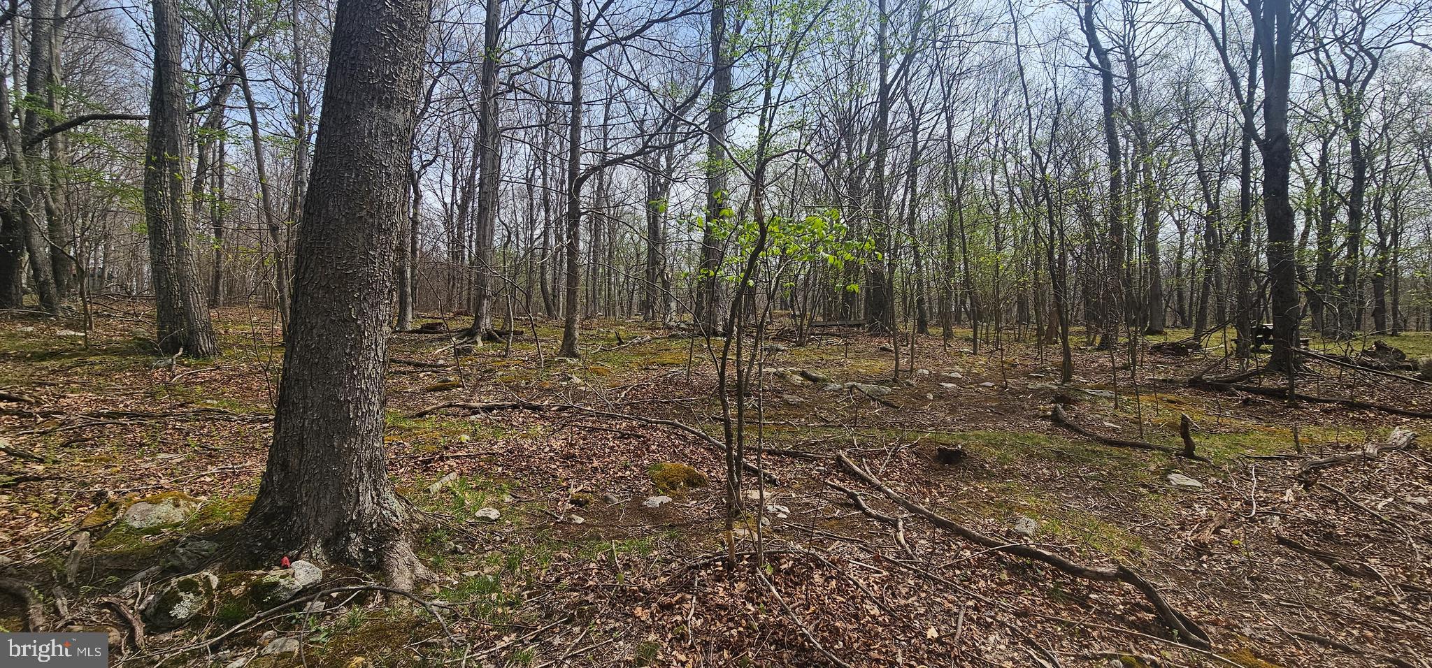 RETREAT AT DOLLY SODS - Land