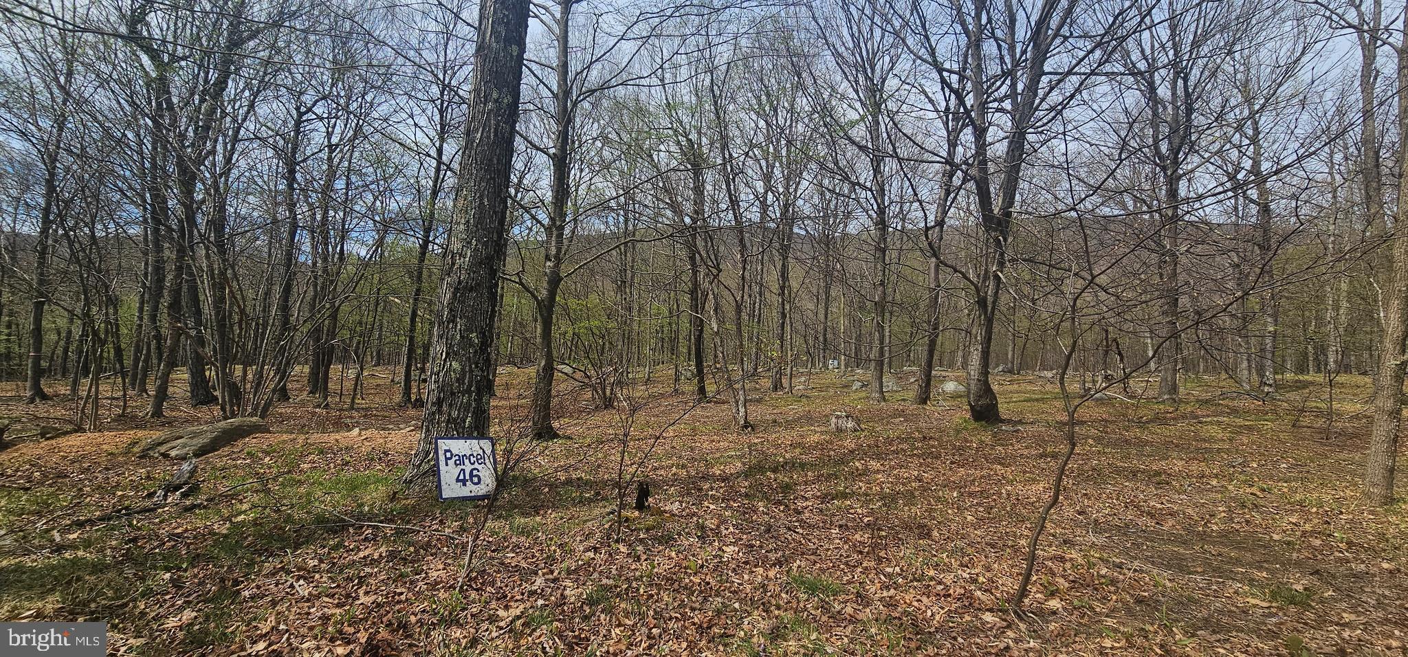 RETREAT AT DOLLY SODS - Land