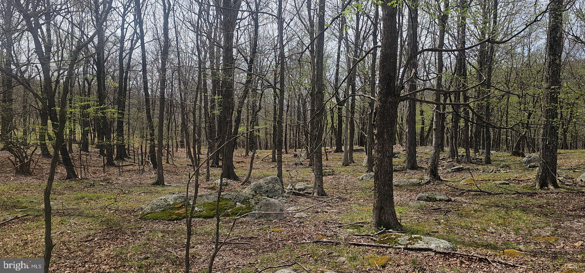 RETREAT AT DOLLY SODS - Land