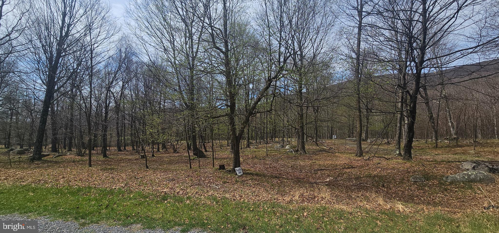 RETREAT AT DOLLY SODS - Land