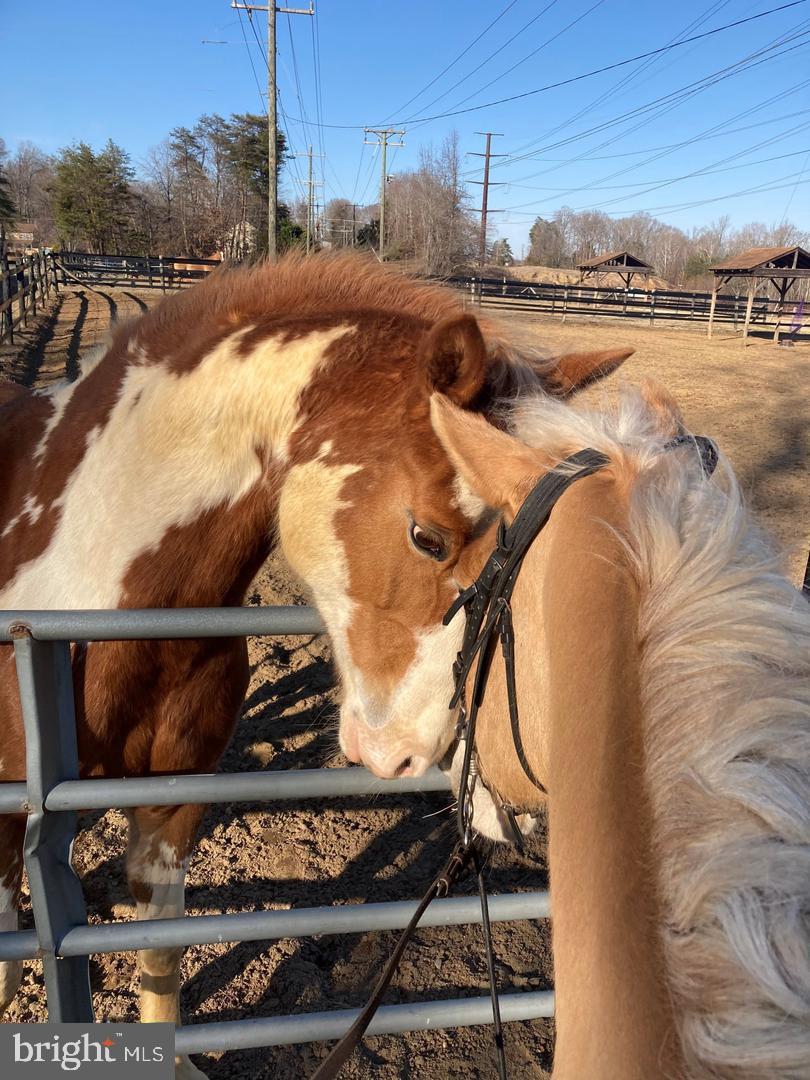 AQUIA HARBOUR - Residential