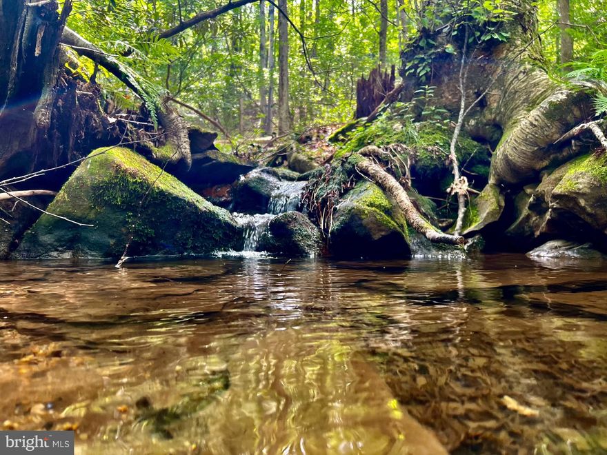 Discover Your Appalachian Dream: 482 Acre Farm in Preston County, WV! Welcome to a slice of heaven nestled within the majestic Appalachian Mountains of West Virginia, this sprawling 482 ACRE farm that promises not just a piece of land, but a lifestyle of adventure and natural beauty West Virginia offers. Located just minutes from the charming town of Kingwood, West Virginia making it an unparalleled opportunity for those seeking a retreat, investment, or a new place to call home. Whether you envision a private estate, a sustainable farm, or a nature retreat, the vast open spaces allow you to create your own personal paradise. Approximately 60 acres of lush pasture and meadow provide the ideal setting for livestock, farming, or simply enjoying the panoramic mountain views this farm provides. This property has four spring-fed creeks and two serene ponds, ensuring that water is never a concern. Enjoy fishing, kayaking, or simply relaxing by the water’s edge as you soak in the beautiful surroundings. A significant portion of the property boasts marketable timber, presenting an excellent opportunity for sustainable forestry or an additional income stream. With thriving populations of deer, turkey, and bear, the property is a dream for hunters and wildlife watchers alike. Experience the thrill of spotting these magnificent creatures right in your own backyard. The property features an established driveway and a well-maintained interior road system, making this expansive land easily accessible. Enjoy the freedom of roaming your land with ease, whether by foot, ATV, or horseback. This spectacular land is not only a sanctuary for nature lovers but presents limitless potential for diverse uses. Create a sustainable farm, establish a retreat center, or build your dream home surrounded by the tranquility of nature. With its close proximity to Kingwood, you can enjoy the peacefulness of rural living while having the amenities and conveniences of town just a short drive away. Schedule your private showing today and take the first step towards making this extraordinary property your own. Adventure and serenity await you in Preston County, WV! 6 +/- miles to Kingwood. 28 +/- miles to Morgantown. 30 +/- miles to Deep Creek Lake, MD. 100 +/- miles to Pittsburgh, PA. 200 +/- miles to Washington, DC. 230 +/- miles to Columbus, OH.