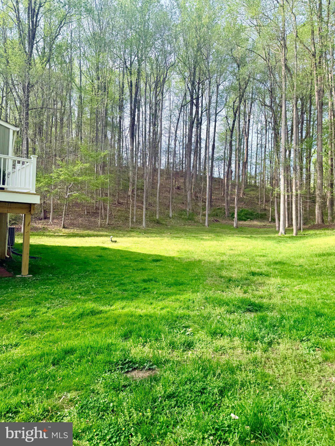 THE TRAILS - Residential
