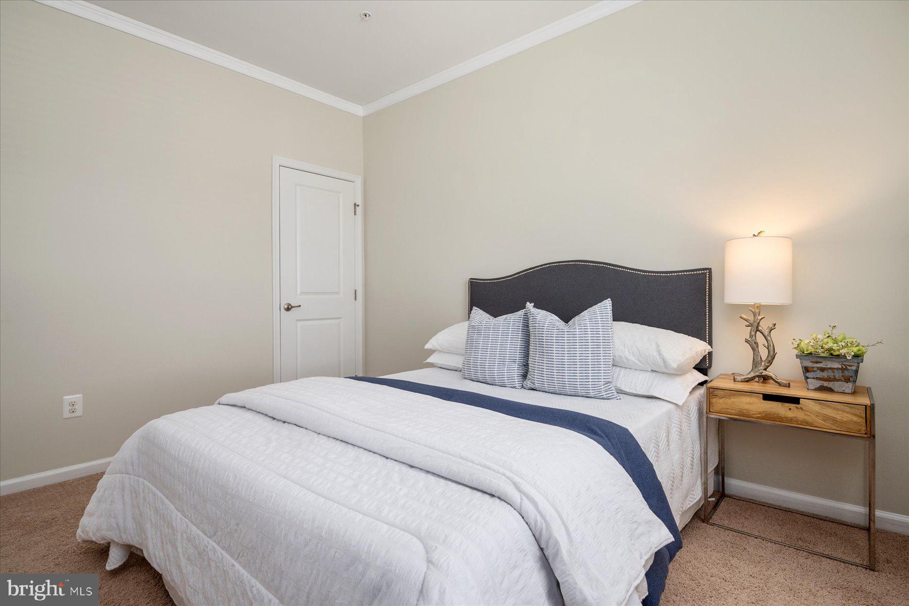 CLARKSBURG VILLAGE - Residential